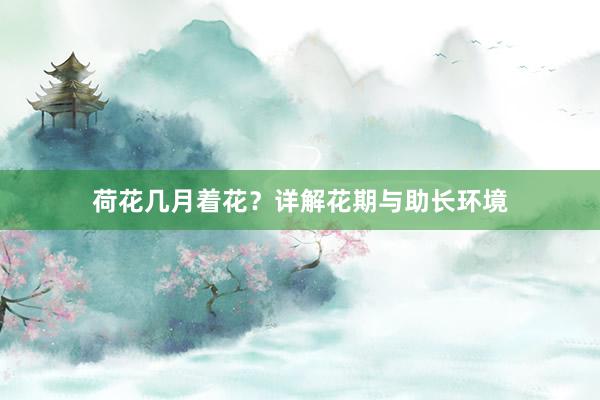 荷花几月着花？详解花期与助长环境