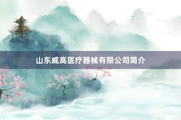 山东威高医疗器械有限公司简介