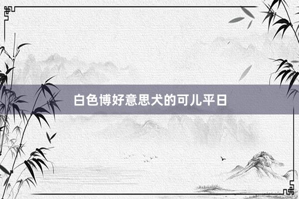 白色博好意思犬的可儿平日