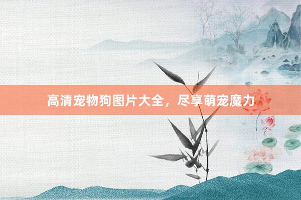 高清宠物狗图片大全，尽享萌宠魔力