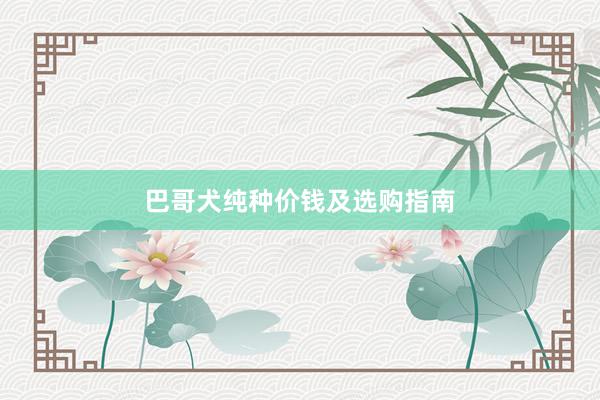 巴哥犬纯种价钱及选购指南