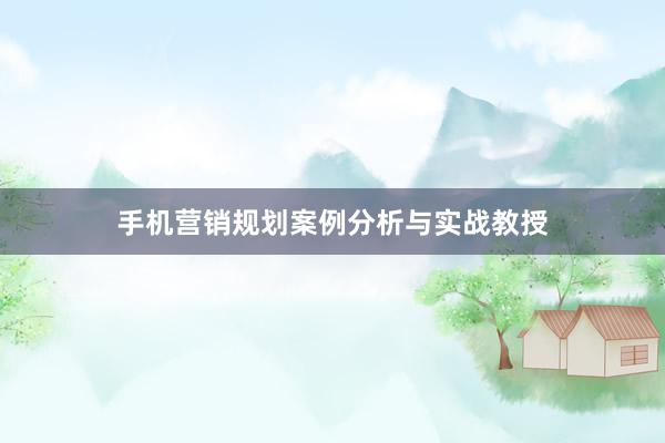 手机营销规划案例分析与实战教授