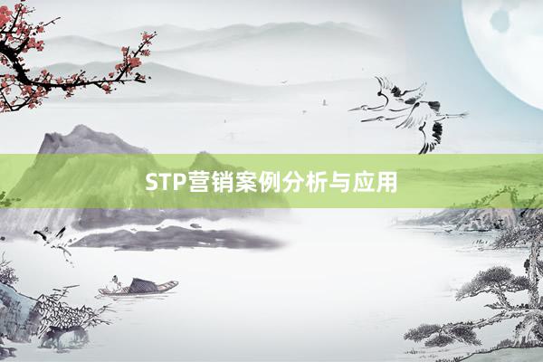 STP营销案例分析与应用